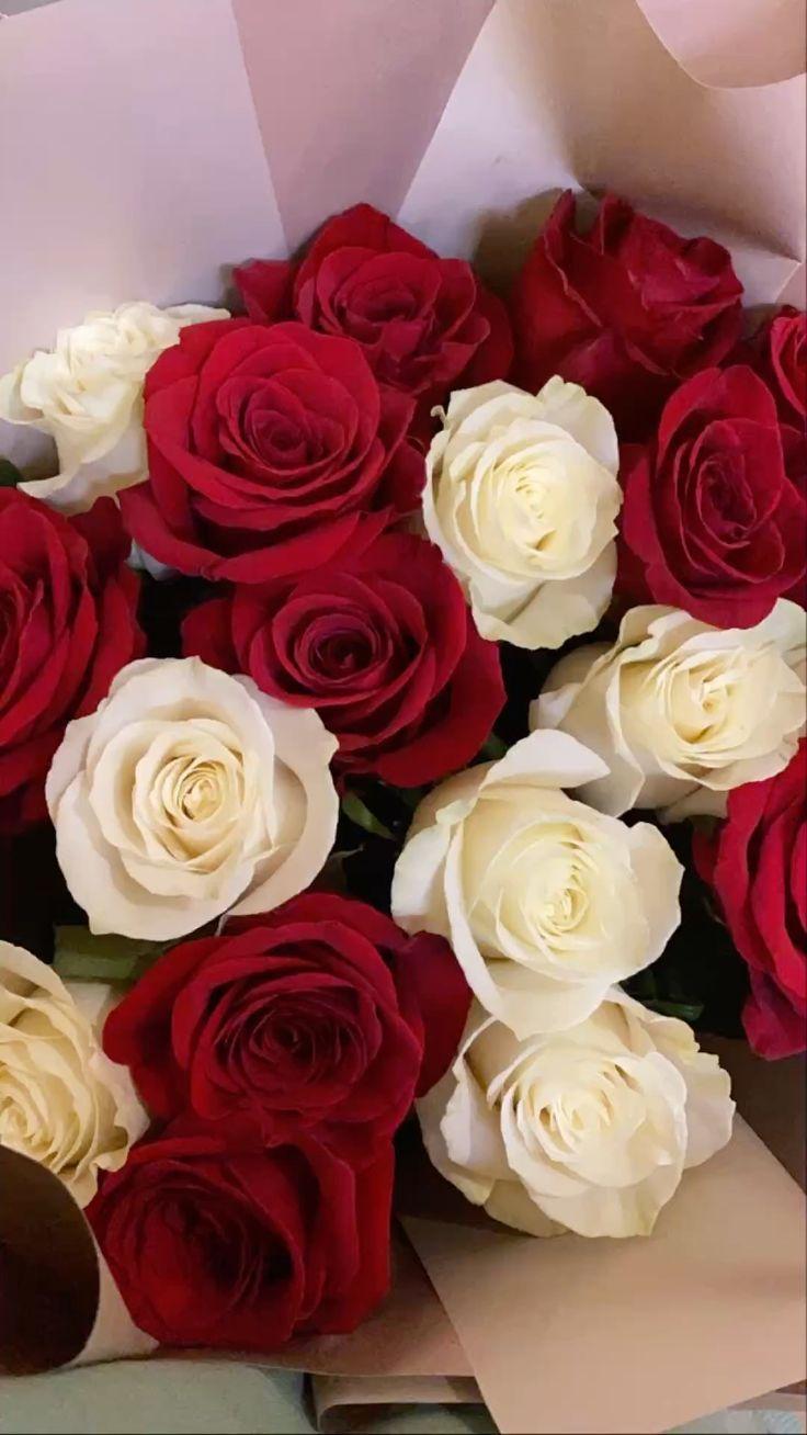 Caring for fresh cut flowers